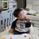 명지헤어시보