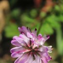 호반마을 20,21단지 사이 이미지