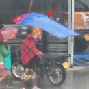오토바이미장원