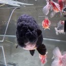 행복수족관 이미지