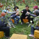 봉도농장 이미지