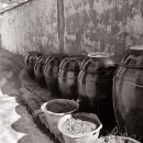 감천2동-7 이미지