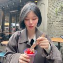 영국 런던 여행 날씨 쇼핑 선물 준비물 시간 시차 환율 물가 수도 워홀 파운드 지하철 요금 오이스터 카드