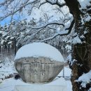 손양초등학교 이미지