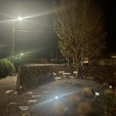 은영이네회수산 이미지