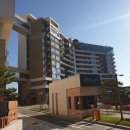 소노펠리체 델피노 이미지