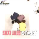 돼지보석 이미지