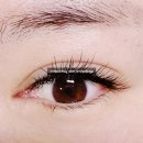 늘,봄 뷰티 | 안동 속눈썹 연장 잘하는곳 뷰티앤왁싱봄｜인생 첫 LED 연장 후기