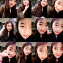 수지라이브