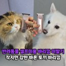 바론동물병원 | 강아지 미용 고양이 셀프미용 애견 바리깡 이발기, 작지만 강한 절삭력의 바론 토끼 바리깡