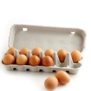 댕슐랭 수제간식 연구소 | 강아지 수제간식 레시피 | 닭고기 단호박 컵케이크 만들기