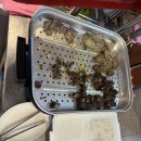 쌍둥이보쌈 | [대전 둔산동 맛집] 든든한 한 끼, 깊고 진한 '쌍둥이 수육국밥' 솔직 후기