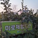 소계체육공원 이미지