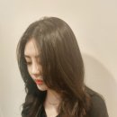 신정애드