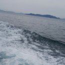 조우민박 이미지