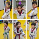 으뜸1태권도 이미지