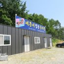 세종시장군승마장