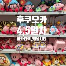 [일본 여행] 후쿠오카 4,5일차 후기 (feat. 마지막 쇼핑의 광기, 경비 등)
