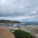 크메르해피(HAPPY)음식점 | 호주 시드니 분위기 좋은 바와 맛집 추천 리스트(feat. 워홀 생활 회고)