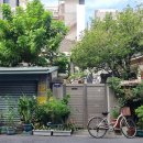 가오목장2 | 4박 5일] 11월 대만 여행, 무지개 마을, 대만의 알프스라는 칭징 양떼목장 농원, 대만인 친구들 만나기