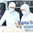강릉전통한과 네이버블로그