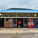 오케이승마장 티스토리