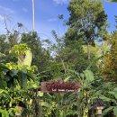 창훈농장 이미지