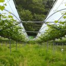 운산농장 이미지