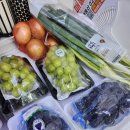 유온약국 이미지