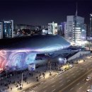 맹그로브 동대문 이미지