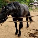 너른마당 이미지