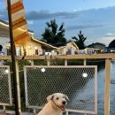 세원세탁소 이미지