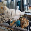 대신대학교부설유치원 이미지