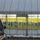 안항사미나리