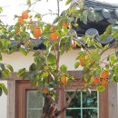 벽골제 관광안내소 이미지