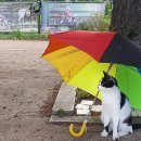 시인의마음 이미지