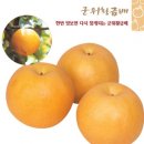 영농조합법인 음성청정티엠알 | 신 국토기행 44 /경북 군위군/시사일본어학원♥장수현선생의 아주쉬운 일본어문법 1개월완성! /좋은...