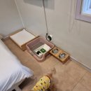 경포딩가펜션 이미지