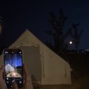 스테이무카 이미지