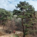 원주굽이길 원11코스 다둔인벌길 이미지