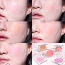 피치씨 치어풀 웜톤 쿨톤 블러셔 추천 리치풀 피치풀 망고풀 캐럿풀 오디풀