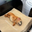 범어목련아파트 상가 앞 | 대구 범어동카페/범어동브런치 카페룰리오가닉 범어유쉘점 솔직후기 (가성비 넘치는 유기농 브런치)