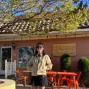 킴스카페(Kim’s caffe) | [Albuquerque, NM] 뉴멕시코 앨버커키 한인마트 장 보고 맛집 깨러 다니기