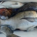 바다풍경펜션민박 이미지