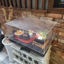 이색어담 이미지