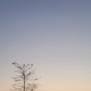 최정산 누리길 이미지