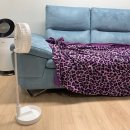 마니세르 이미지