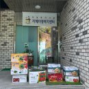 신선한야채