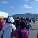 영도구-11 부산대교공영주차장옆 | 제16회 남항대교 걷기대회 참여후기