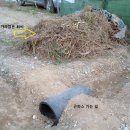 자갈농장 이미지